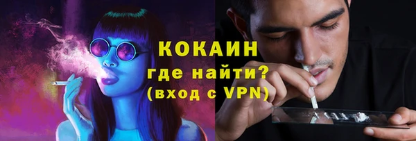 твердый Костерёво
