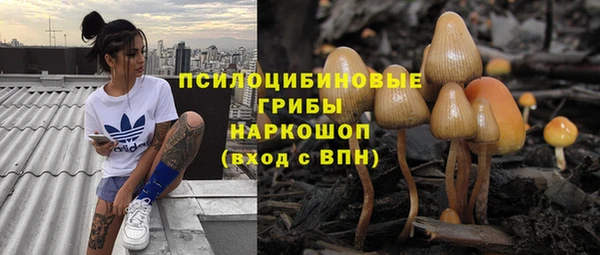 a pvp Краснослободск